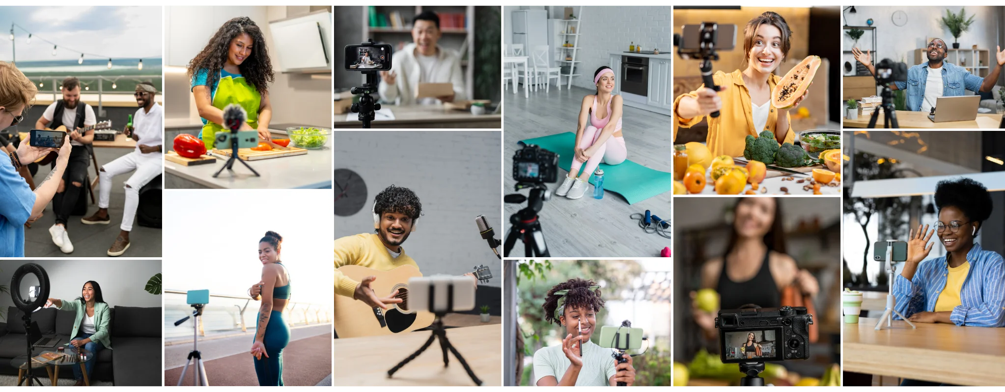 Content creator using fibodo